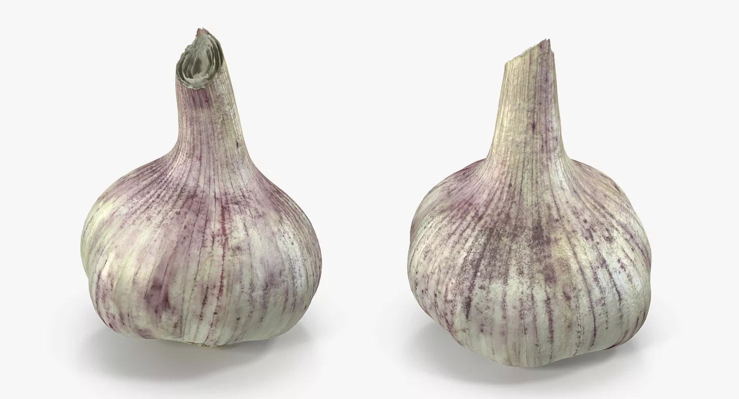 Young Garlic Bulb 3D model