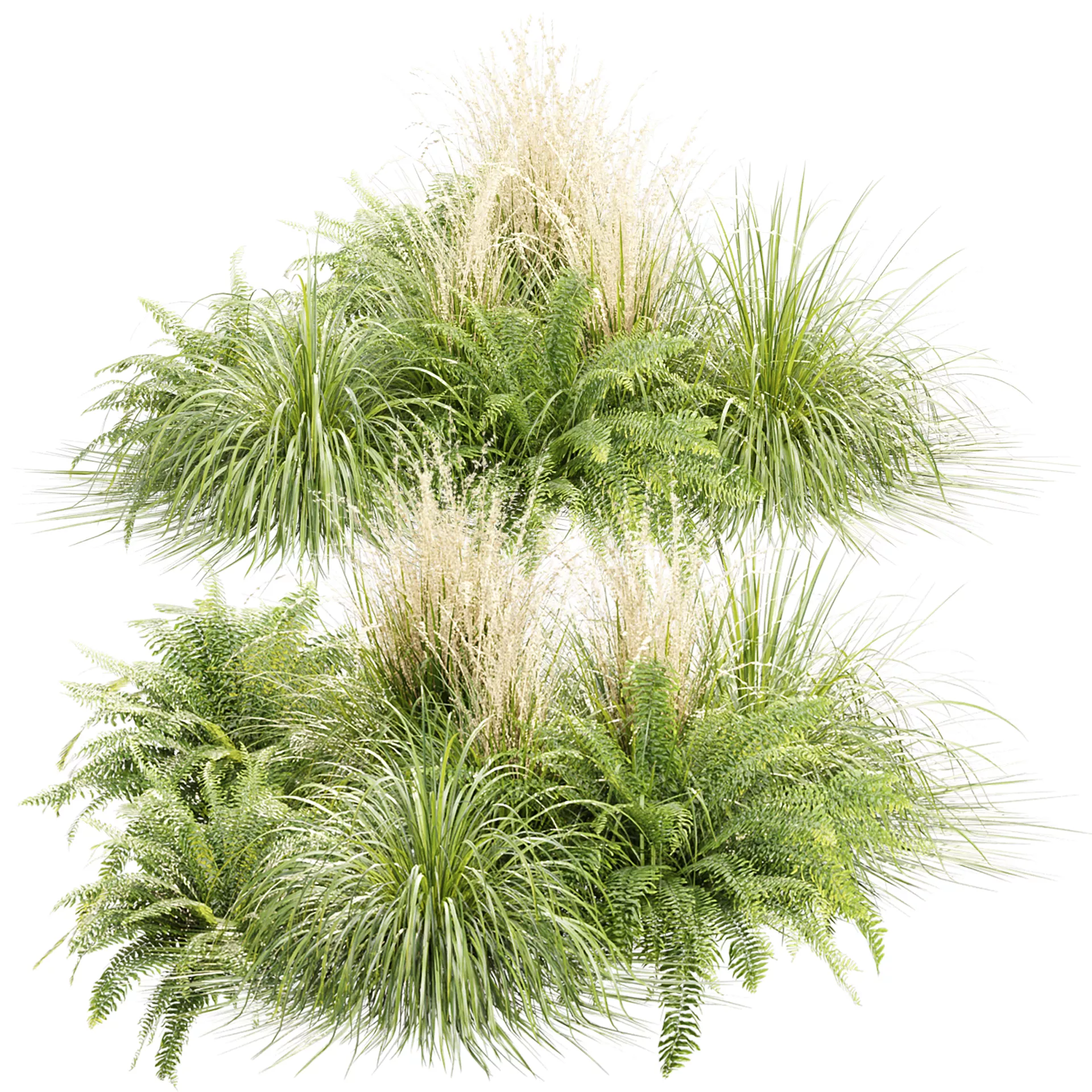 Outdoor Plants Collection 536 3D Plant Model 3D model