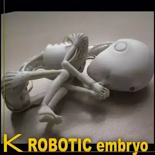 Robot 01 embryo 3D print model