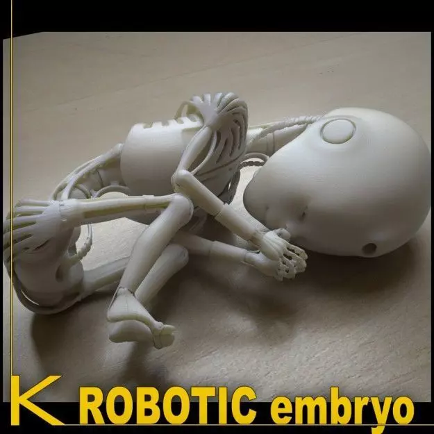 Robot 01 embryo 3D print model_0