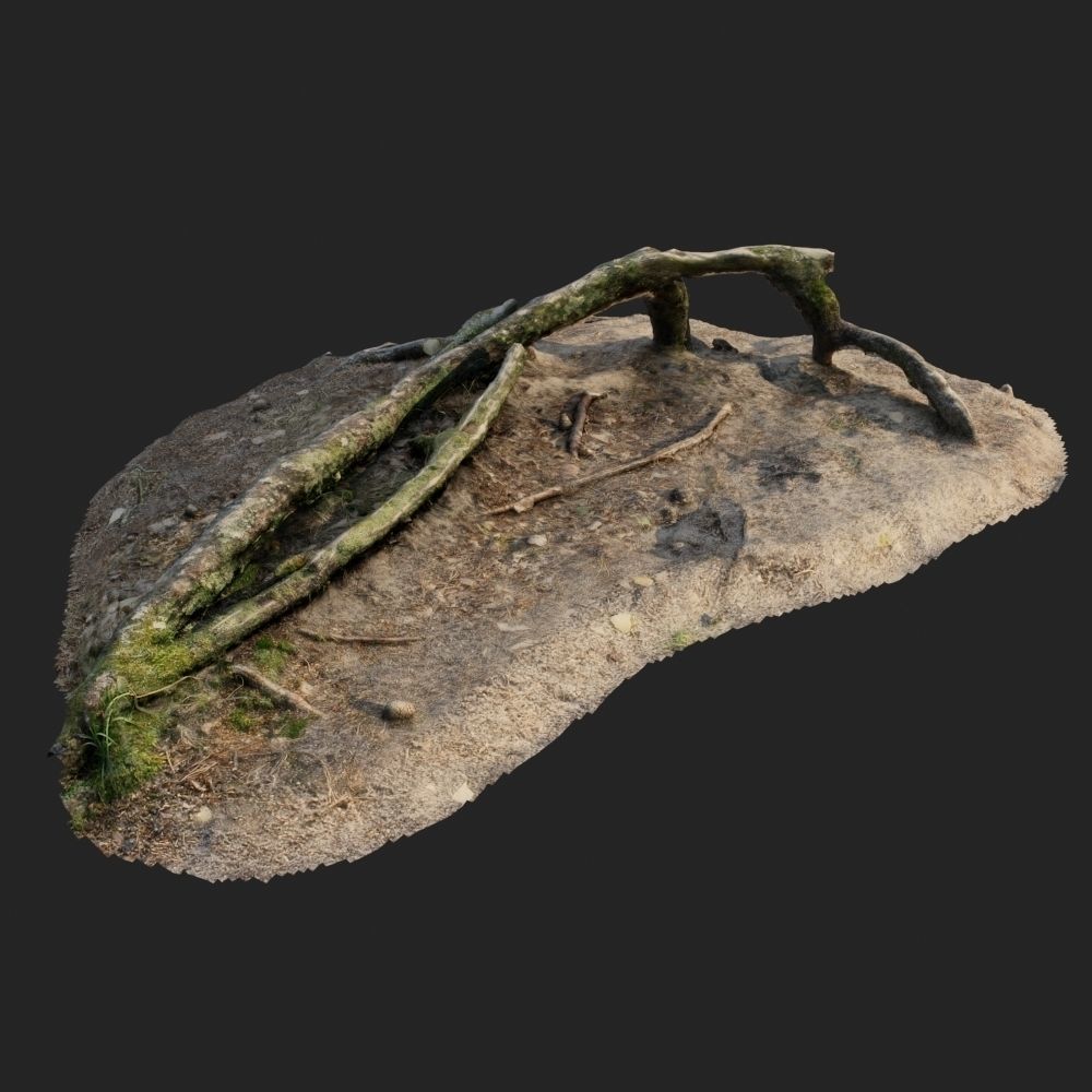 nature forest roots 001 3D model_3