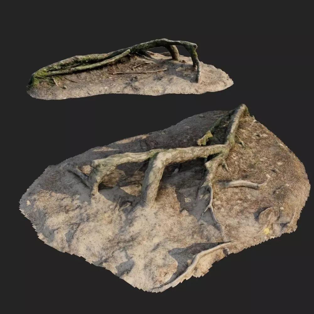 nature forest roots 001 3D model_0