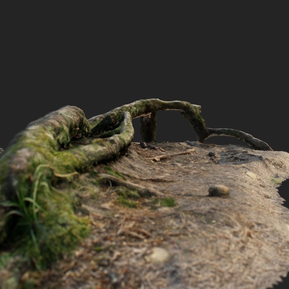 nature forest roots 001 3D model_1