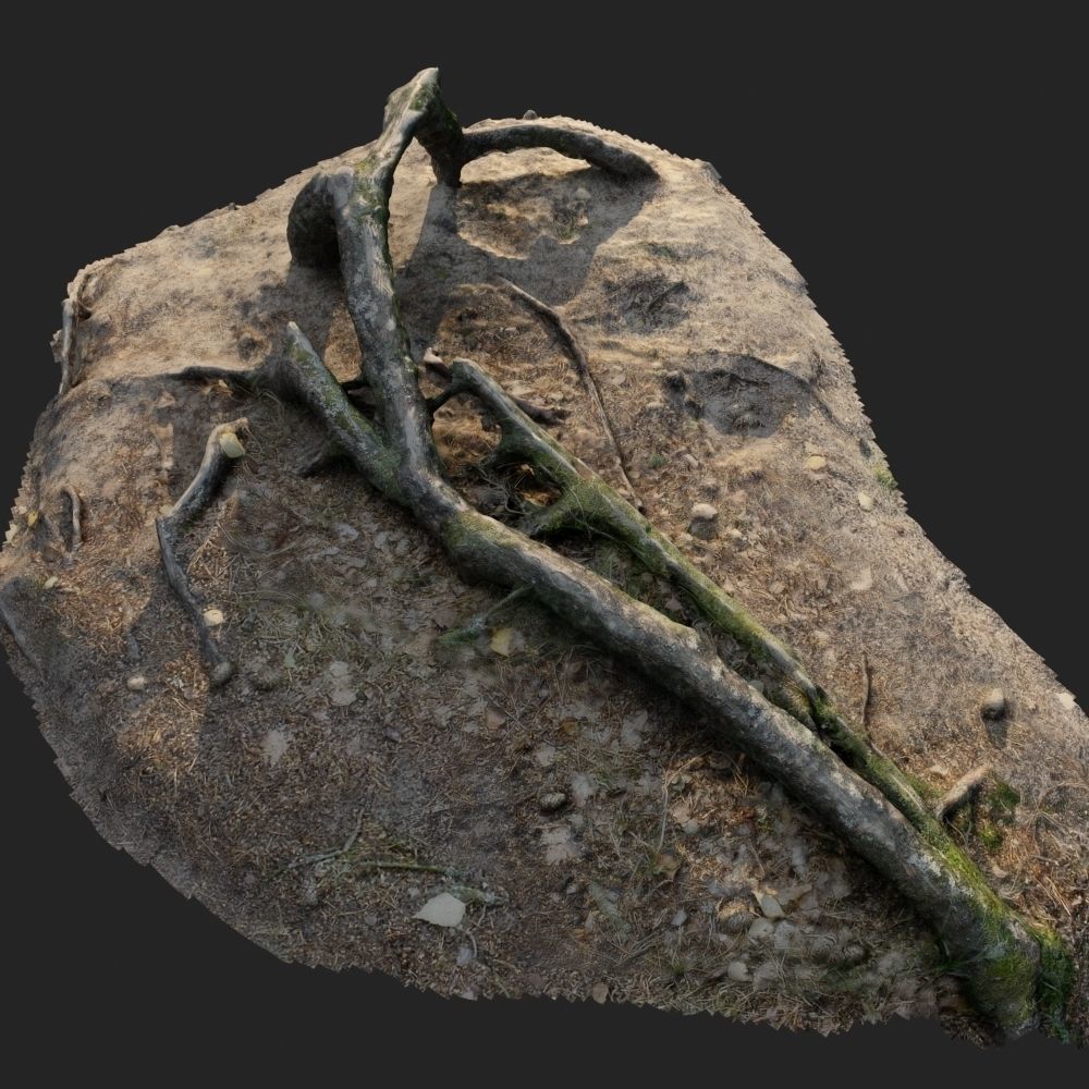 nature forest roots 001 3D model_5