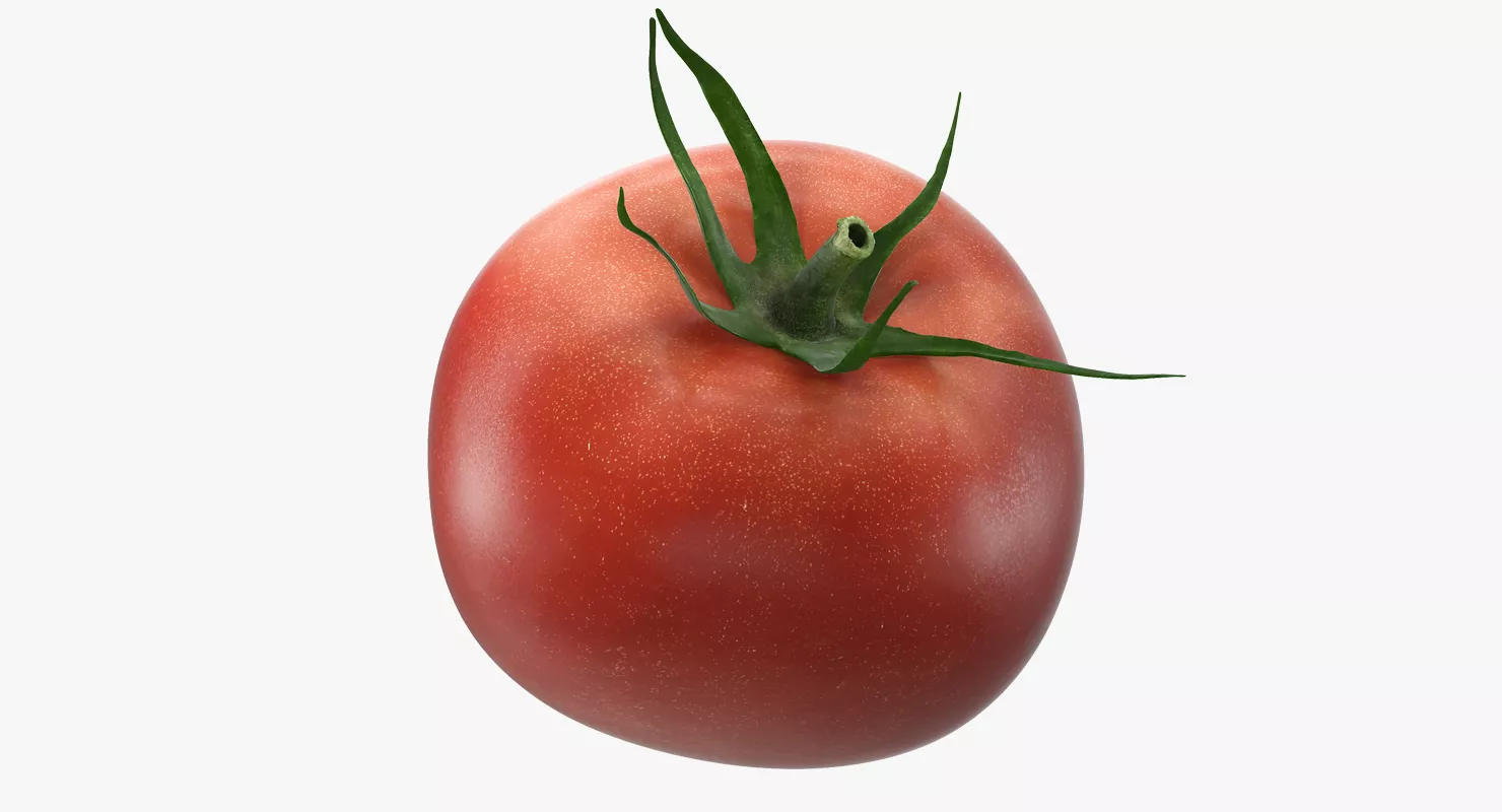 Tomato 3D model
