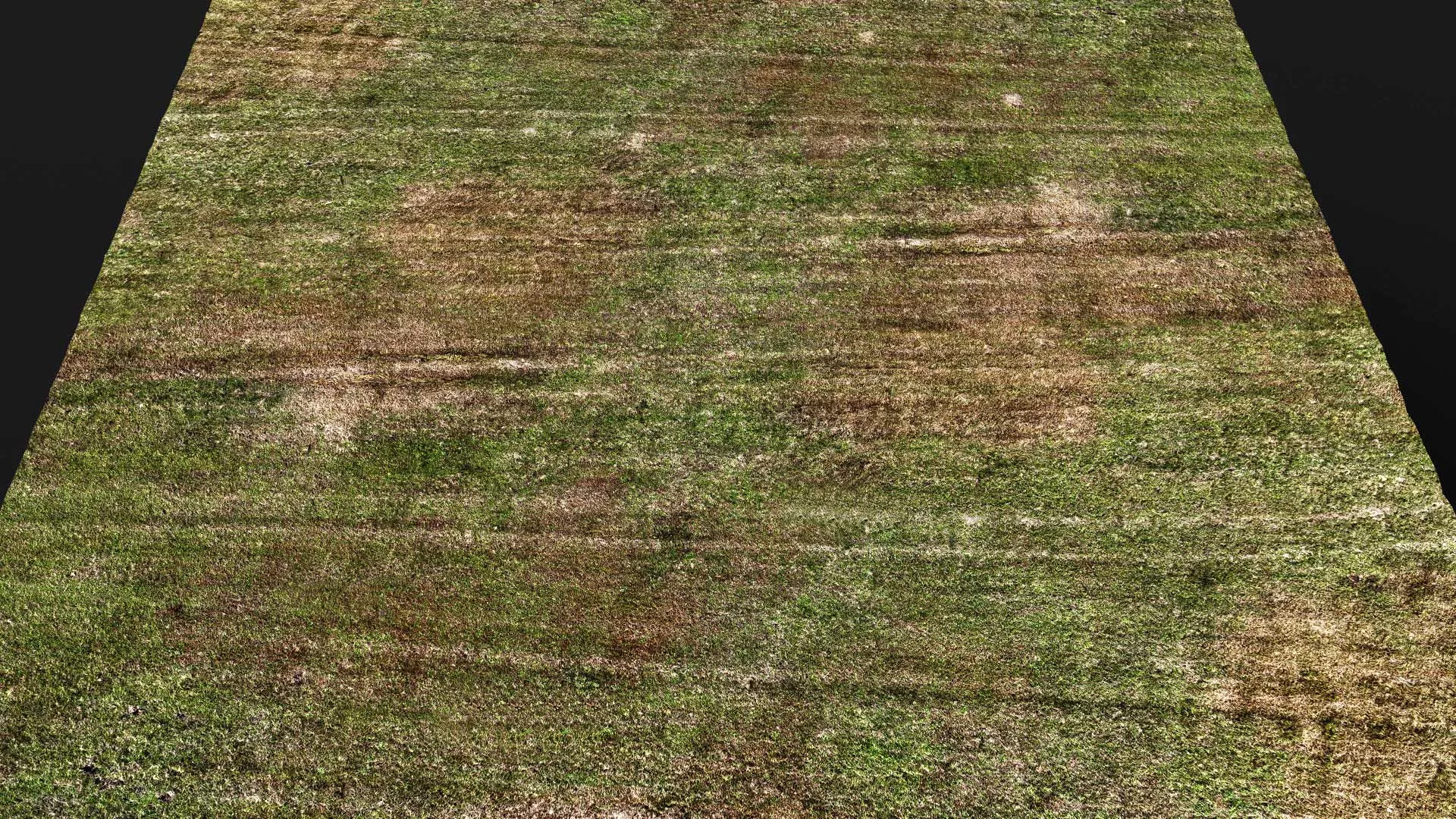 terrain ground grass bushes patch pt18 PBR photogrammetry Low-poly 3D model