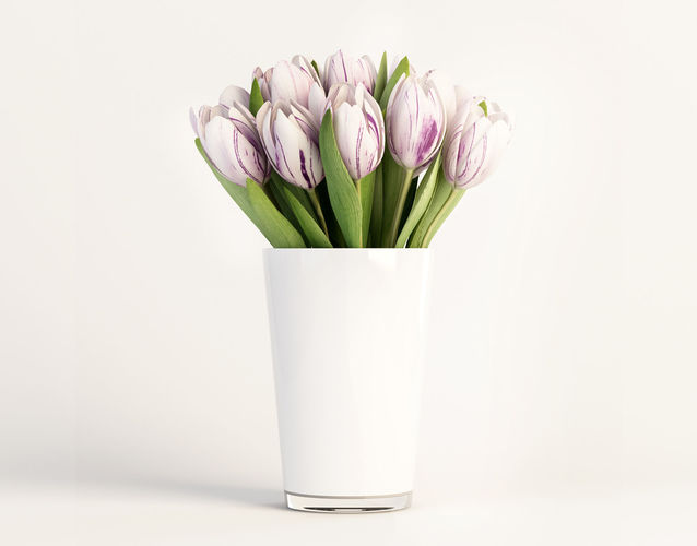Flaming Flag Tulips 3D model