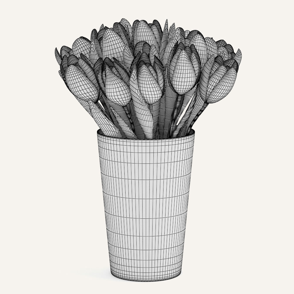 Flaming Flag Tulips 3D model_1