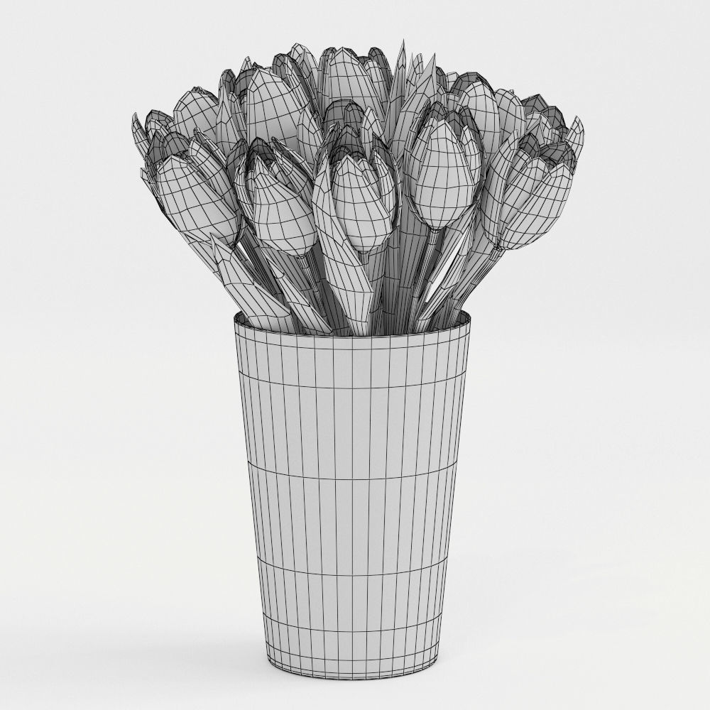 Flaming Flag Tulips 3D model_2