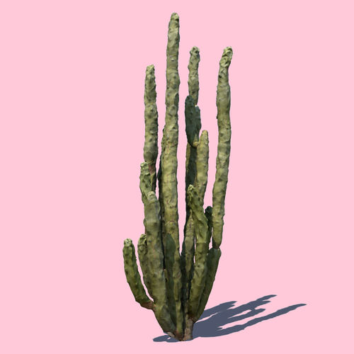 Totem Cactus 3D model