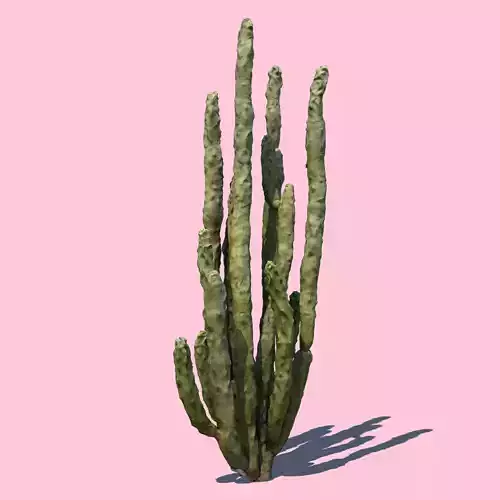 Totem Cactus 3D model