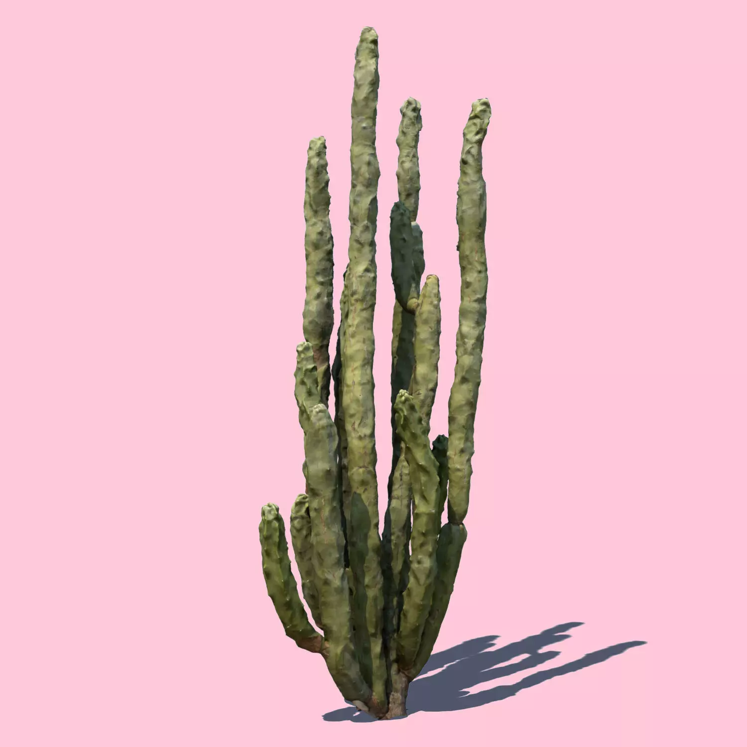 Totem Cactus 3D model_0