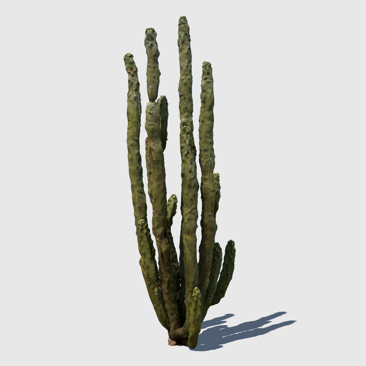 Totem Cactus 3D model_3
