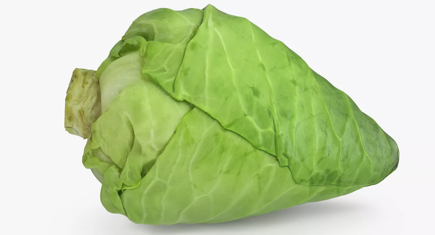 Sweetheart Cabbage 3D model