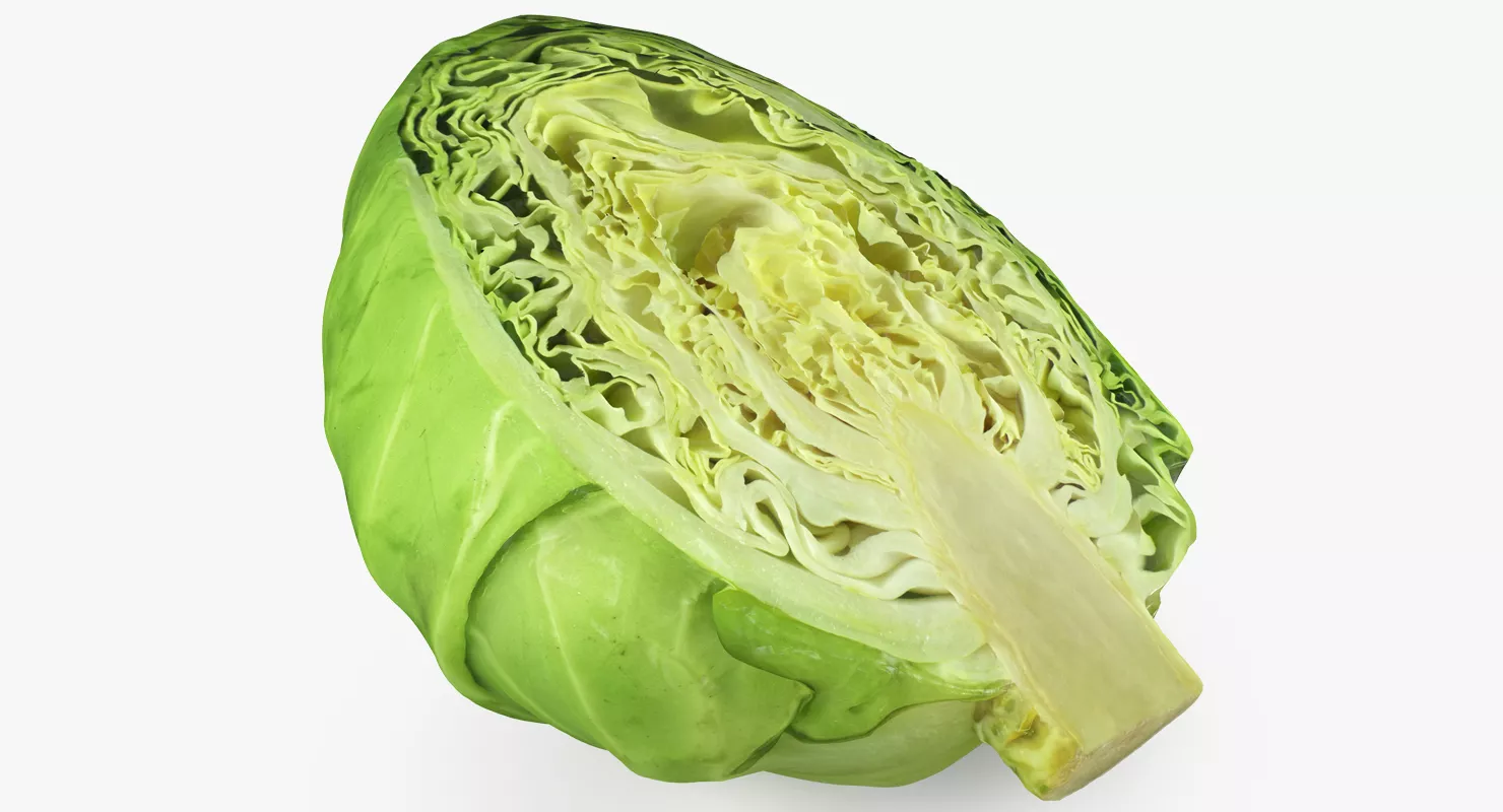 Cabbage Half 3D model