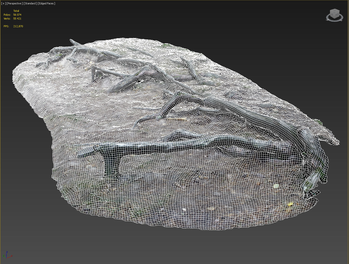 nature forest roots 002 3D model_3