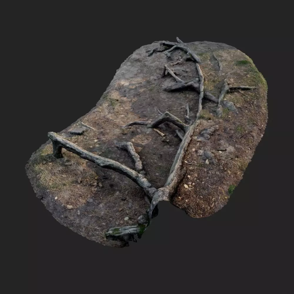 nature forest roots 002 3D model_0