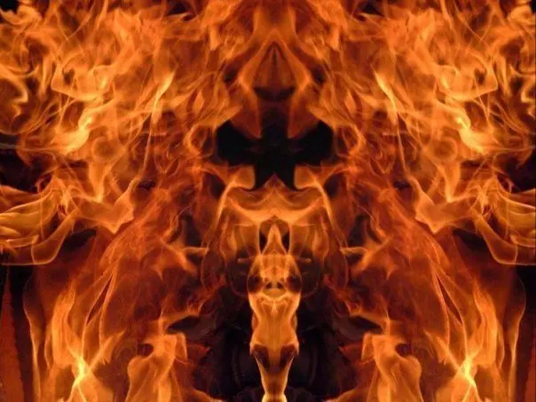 Electric chopper 3D model