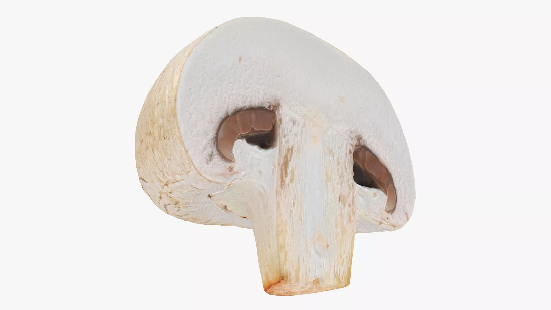 Half Champignon Mushroom Low-poly 3D model