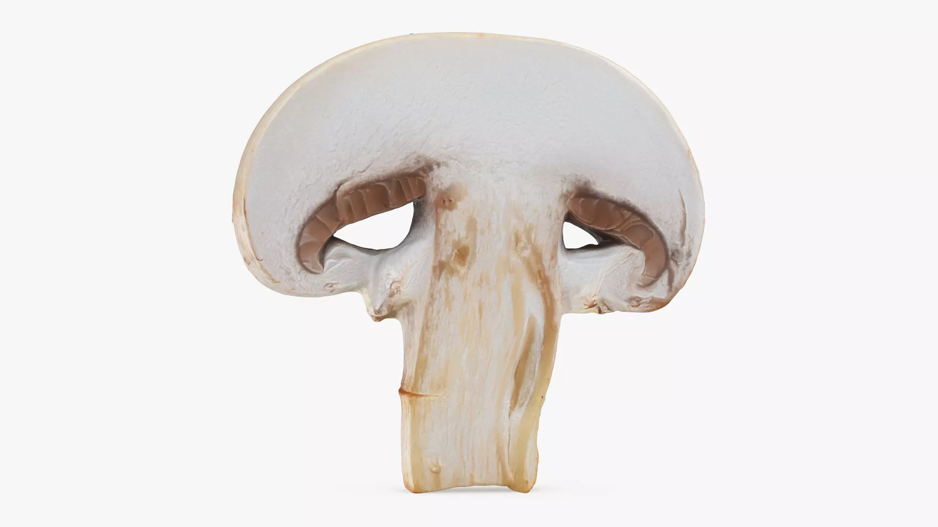 Champignon Mushroom Slice Low-poly 3D model