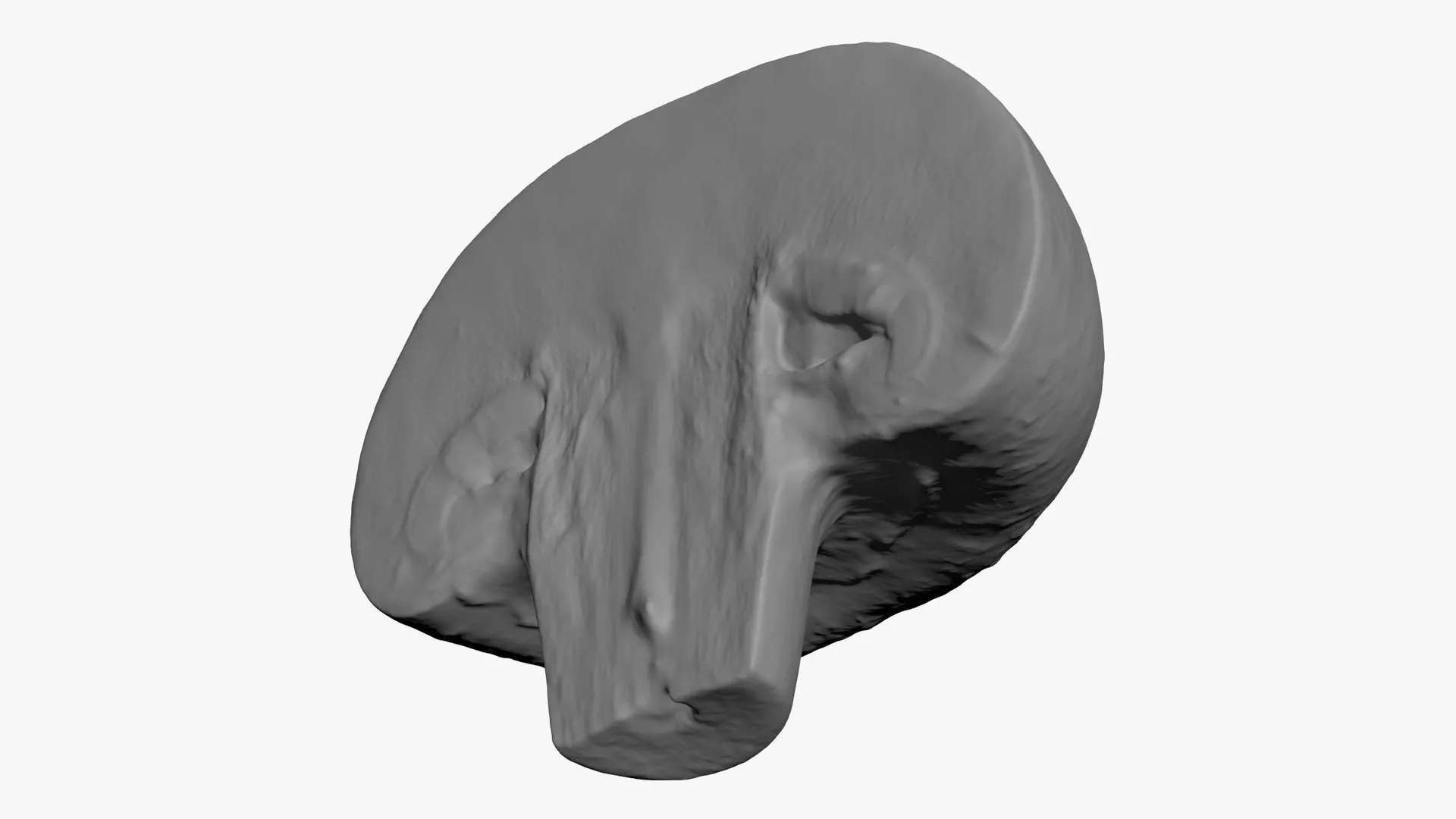 Half Champignon Mushroom - For 3D Print 3D print model