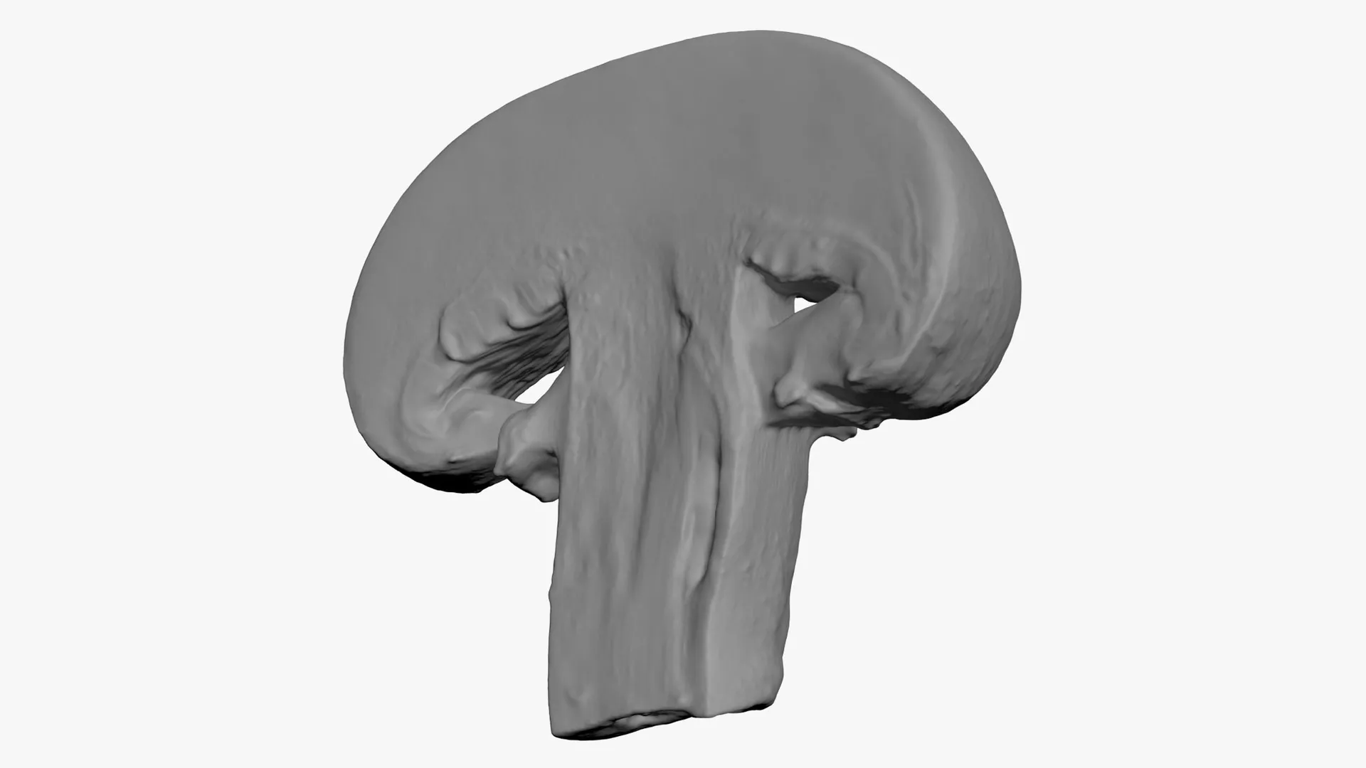 Champignon Mushroom Slice - For 3D Print 3D print model
