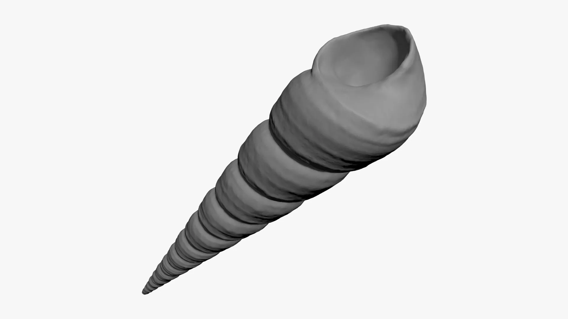 Turritella Communis - For 3D Print 3D print model