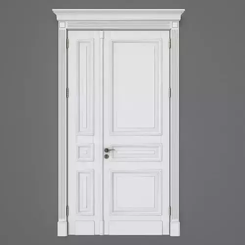Door with trim