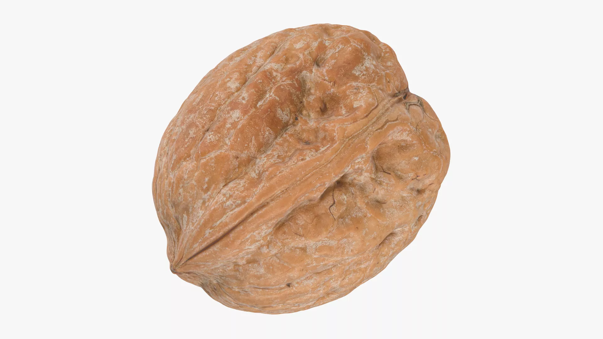 Walnut Shell Low-poly 3D model