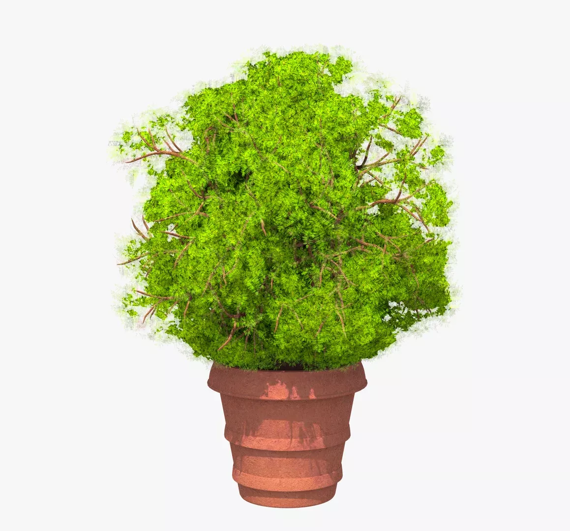 Classic Plant Pot Free 3D model