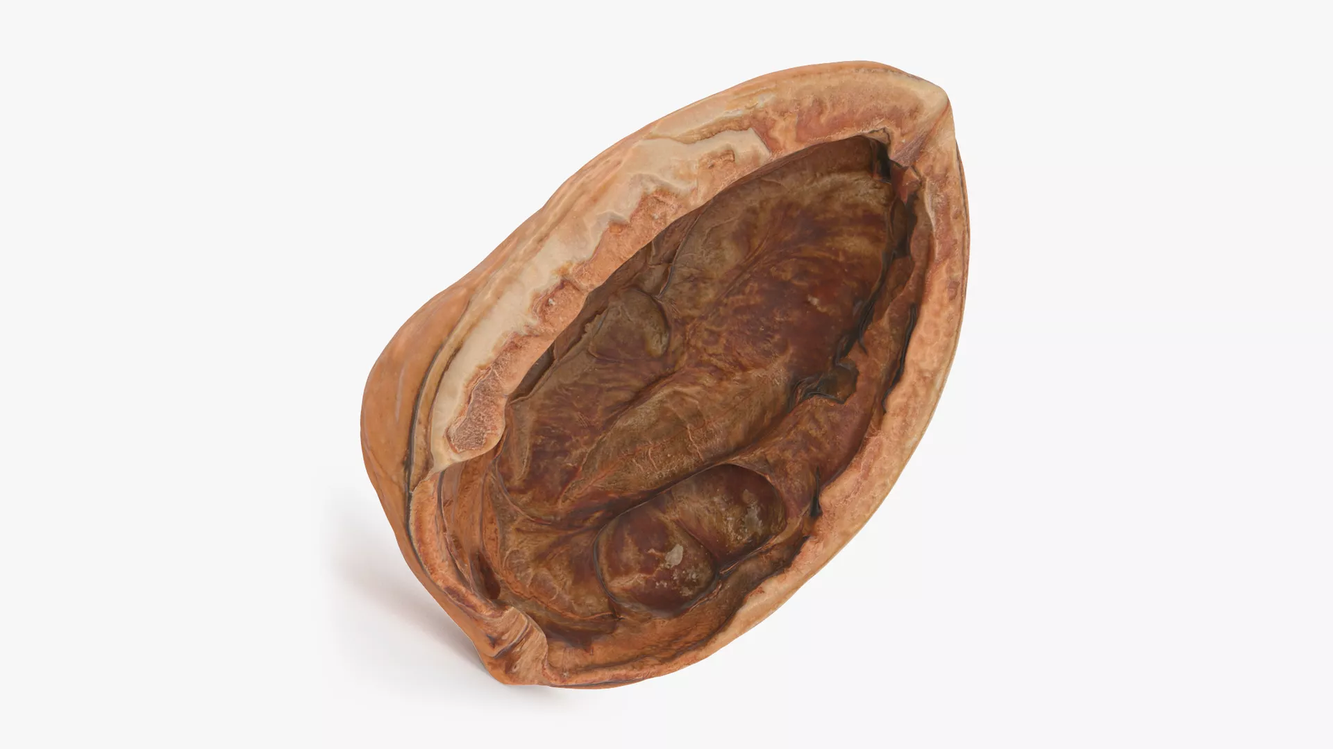 Empty Walnut Shell Low-poly 3D model