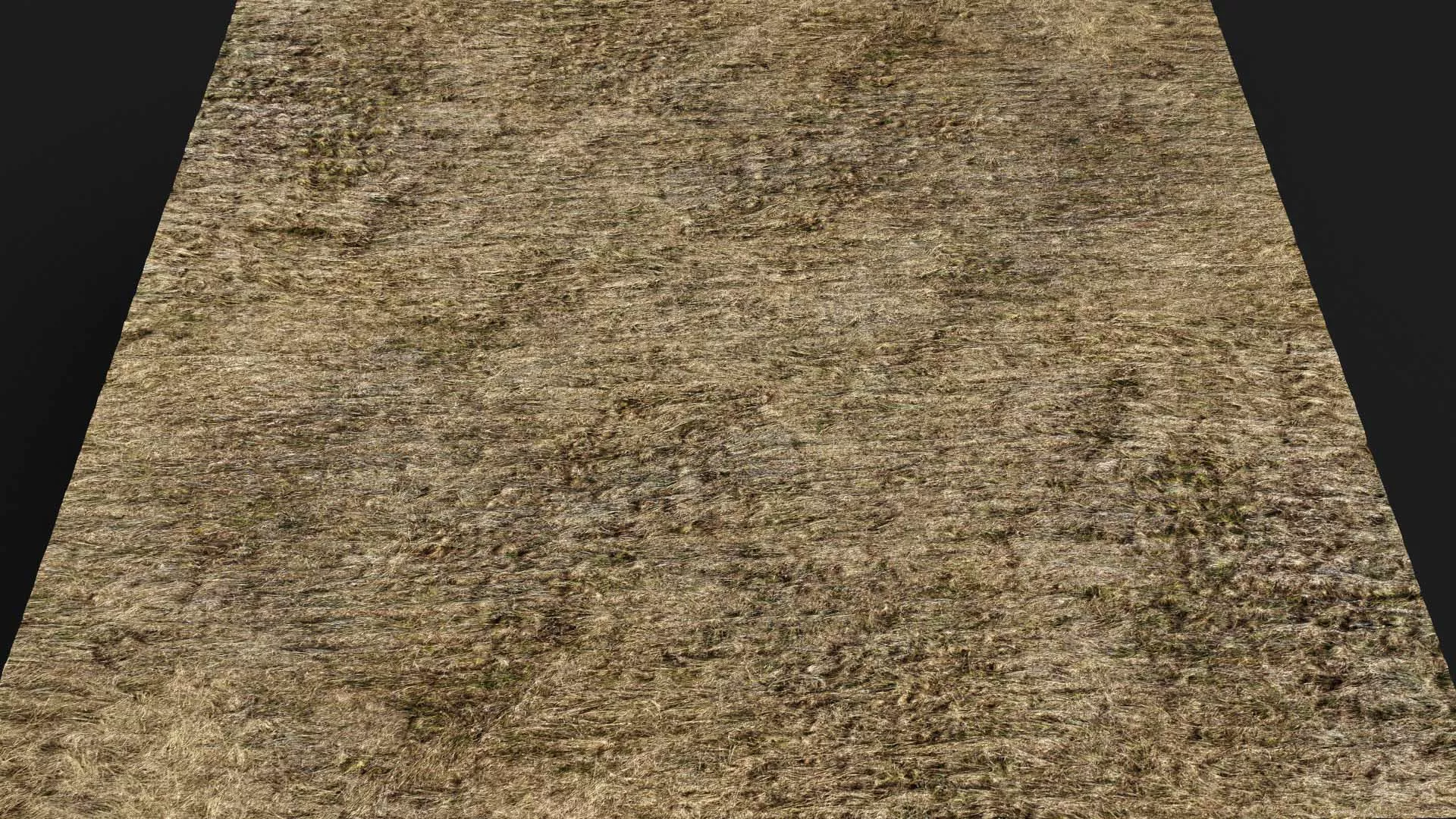 terrain ground grass bushes patch pt19 PBR photogrammetry Low-poly 3D model