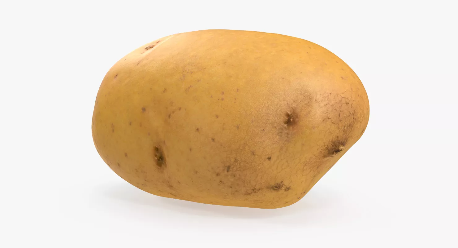 Raw Potato 3D model