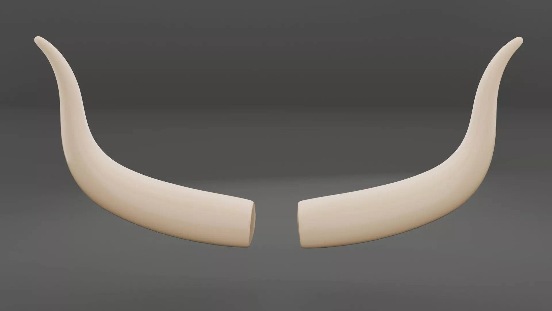 Bull Horn Low-poly 3D model