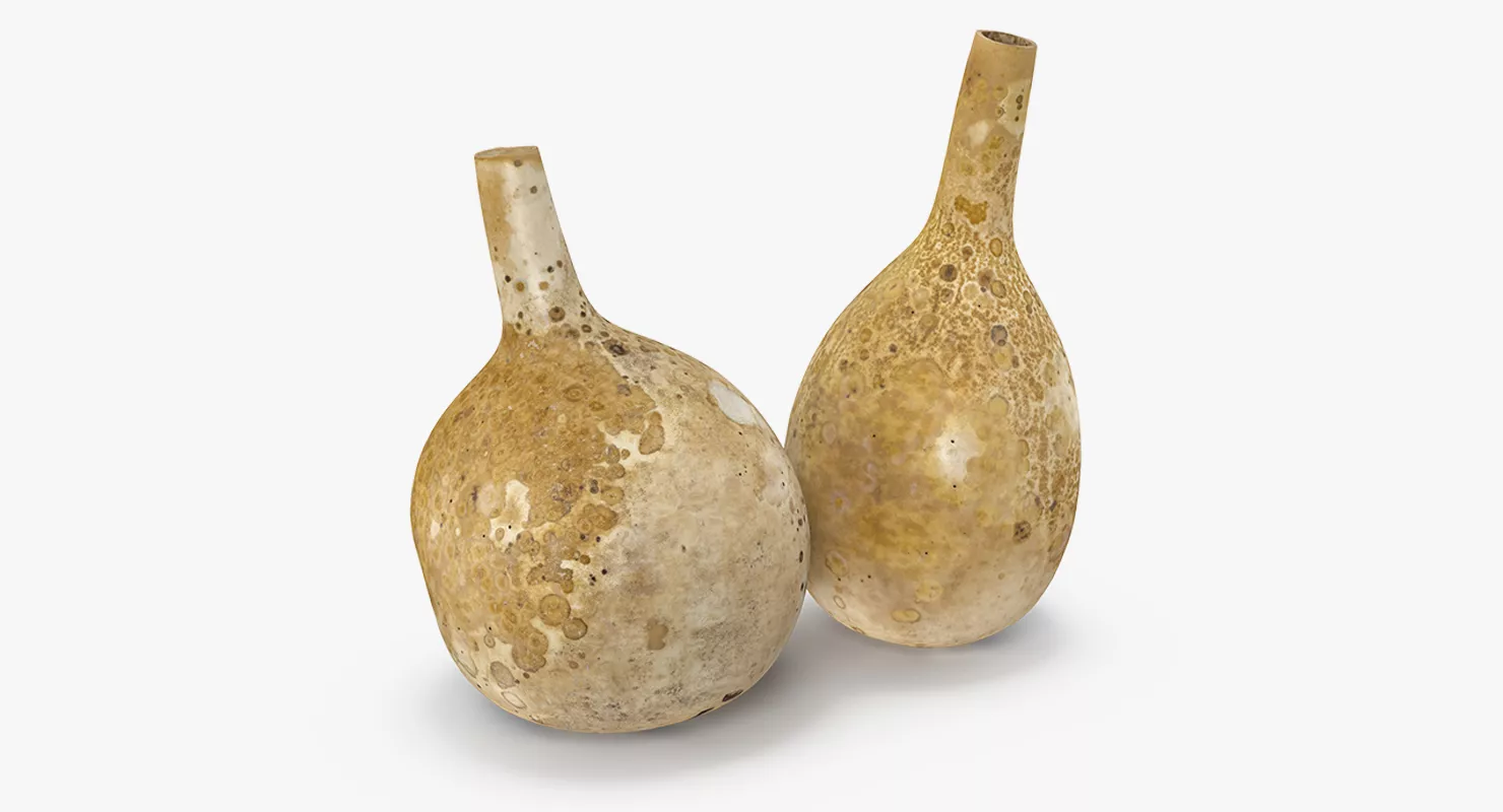 Gourd Containers Set 3D model