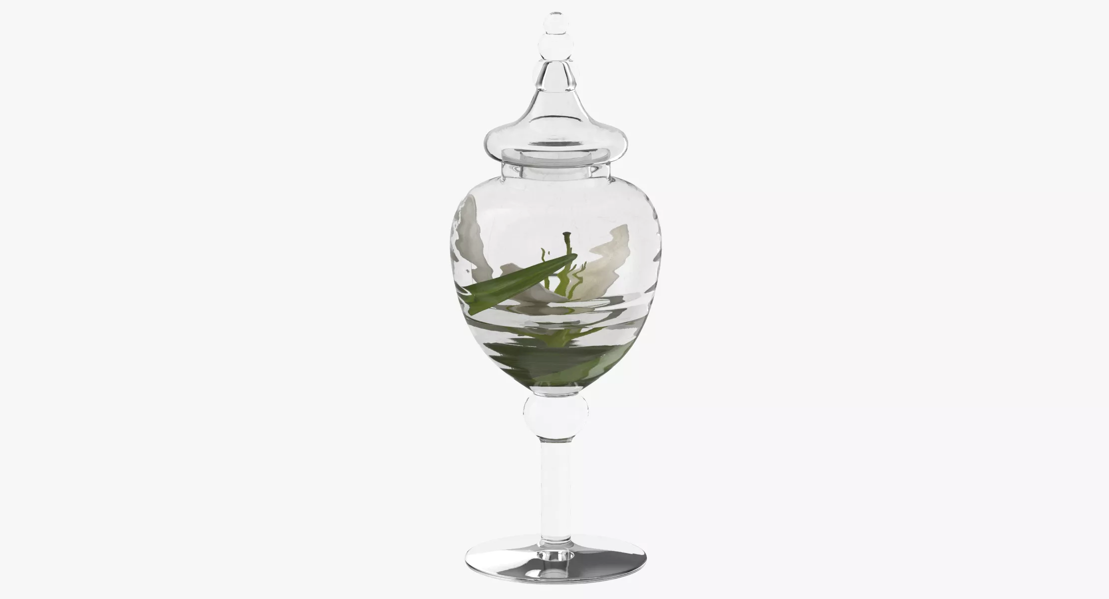 Canister With Plant 3D model