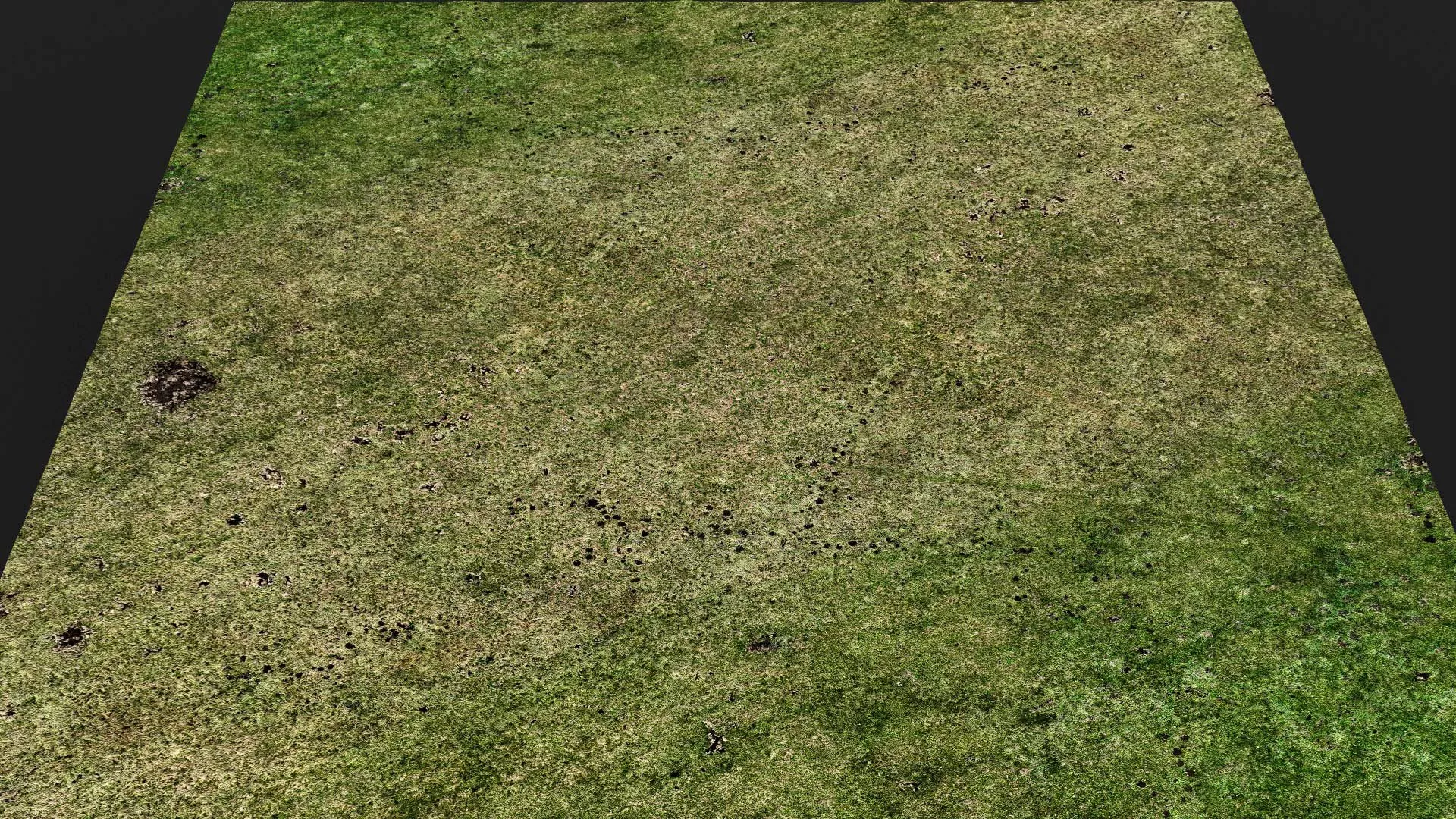 terrain ground grass bushes patch pt20 PBR photogrammetry Low-poly 3D model