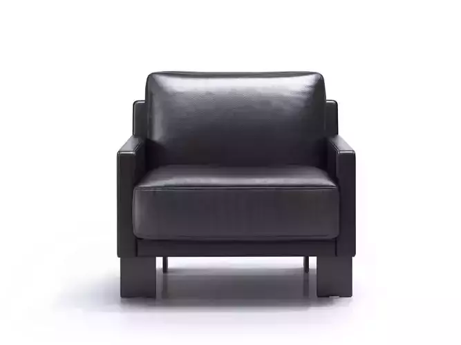 DS-77 Armchair