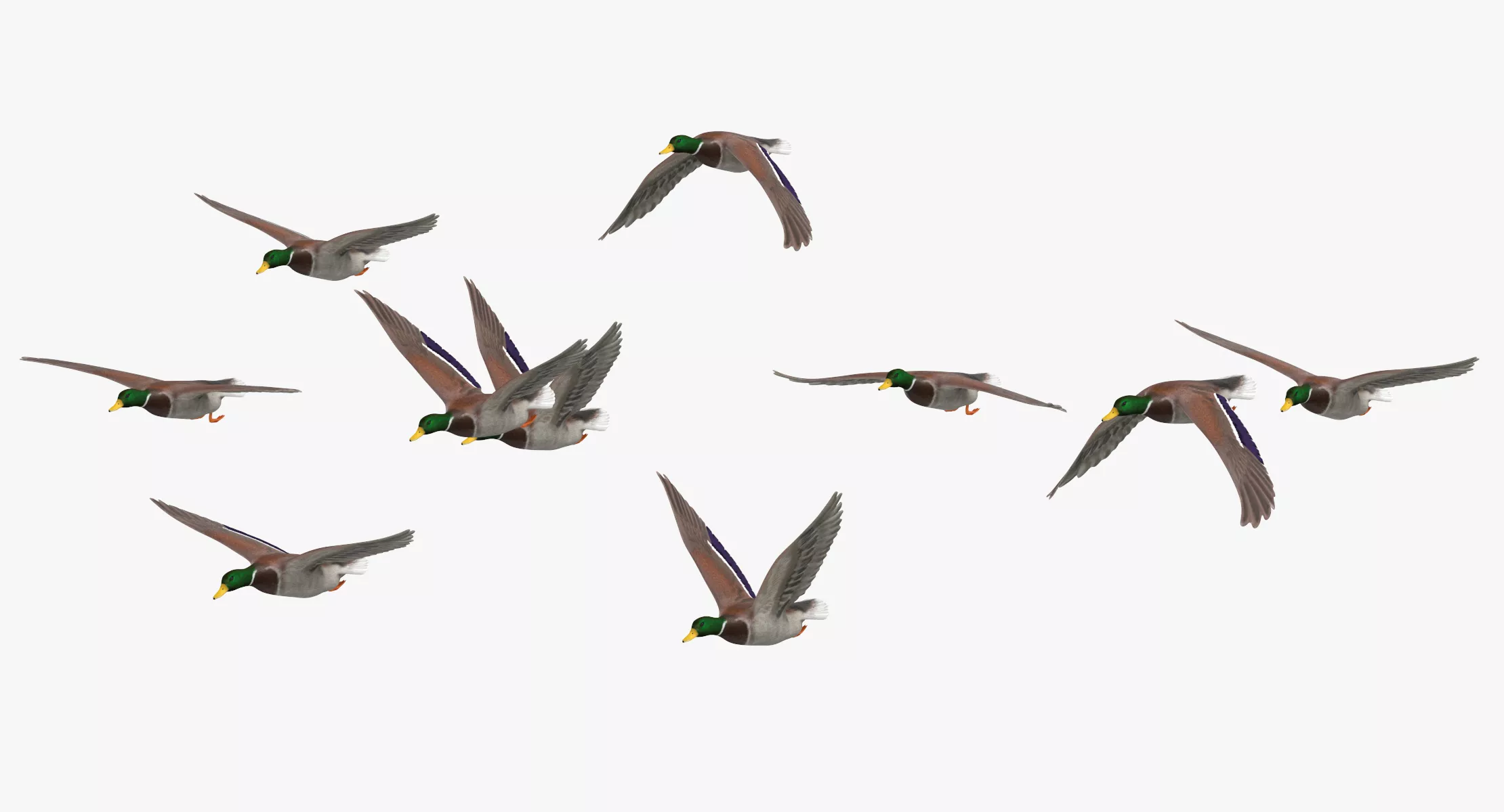 Small Flock Ducks Flying 01 3D model
