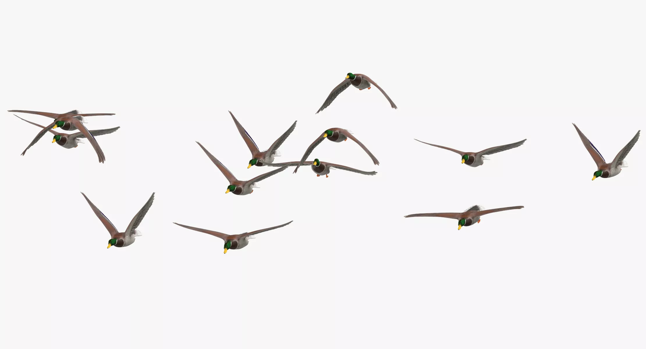 Small Flock Ducks Flying 02 3D model