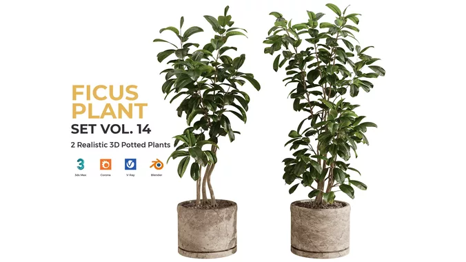 Ficus Plant Set Vol 14