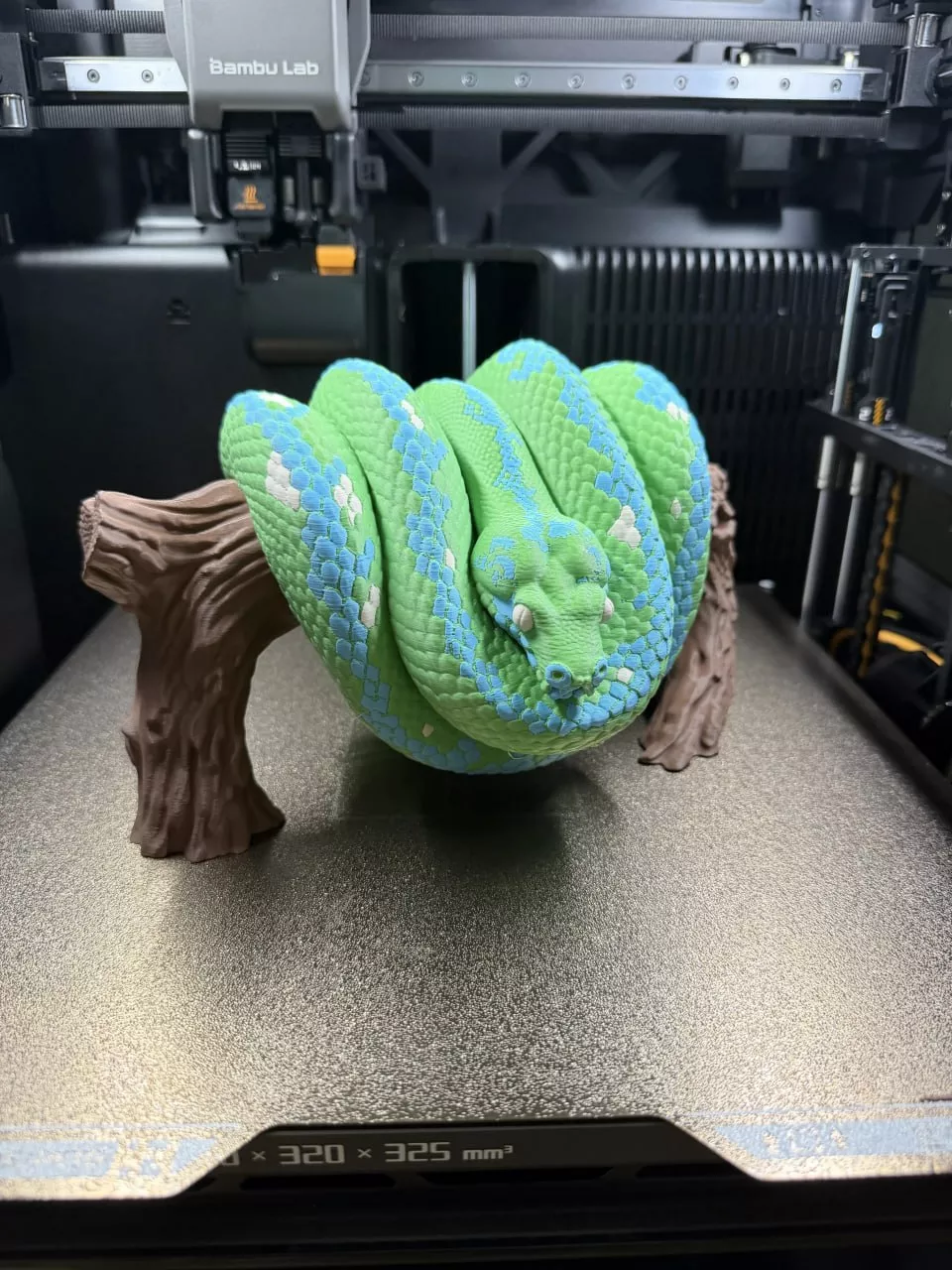 Green Tree Python Painted 3D Model 3D print model