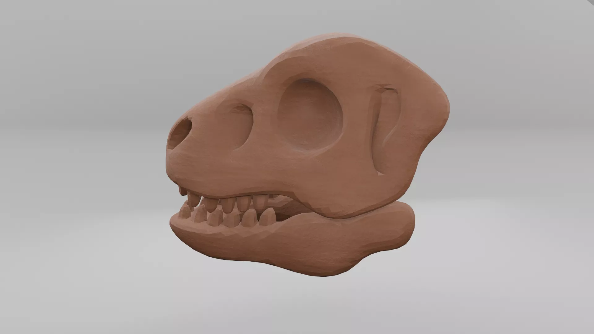 Dinosaur Skull Prehistoric Display Ornament Low-poly 3D model