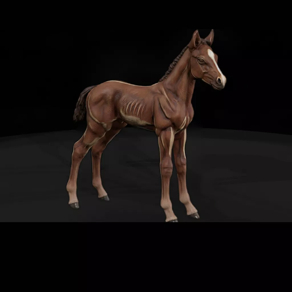 Animal Foal 3D print model
