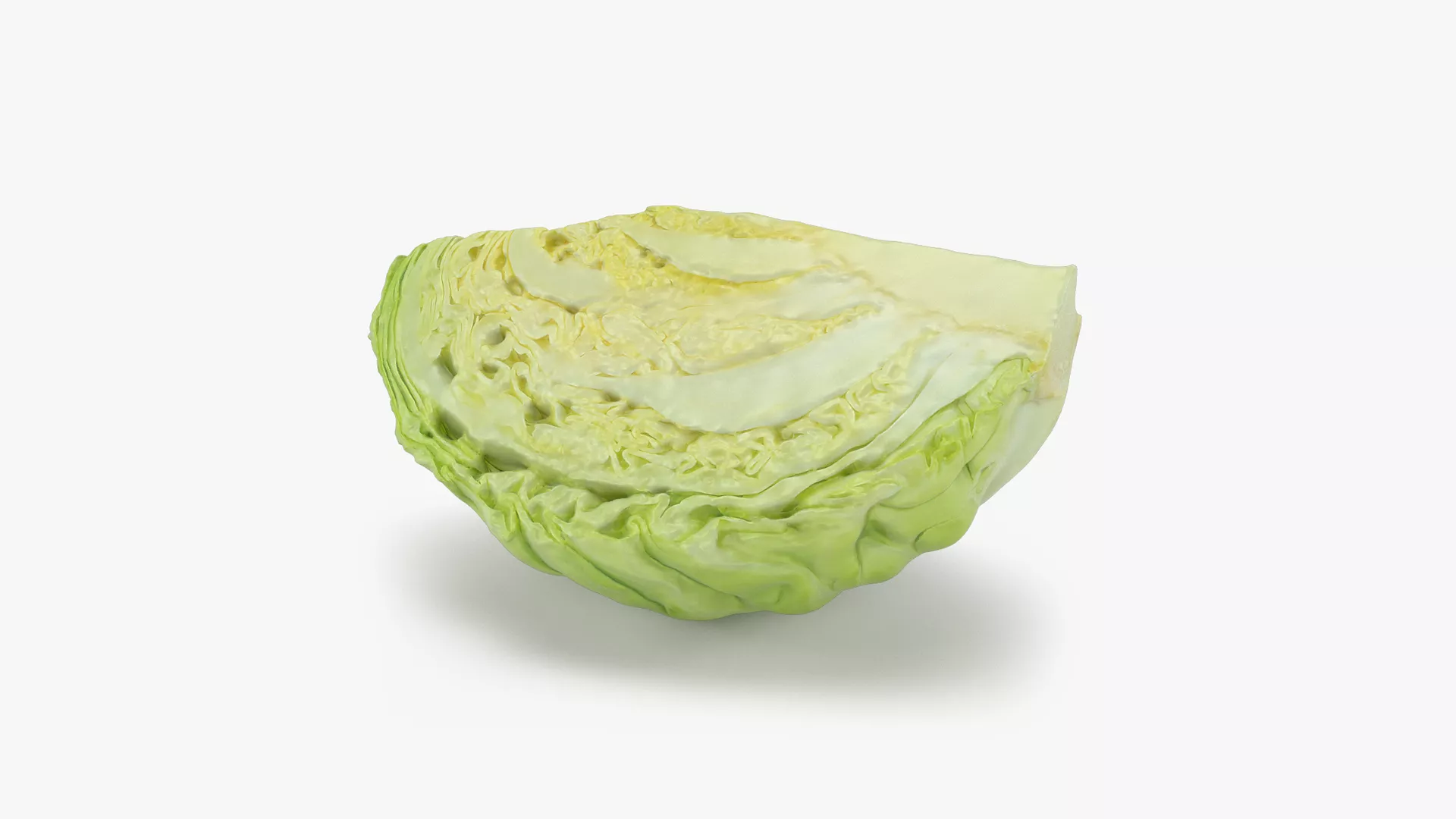 Cabbage Slice Low-poly 3D model