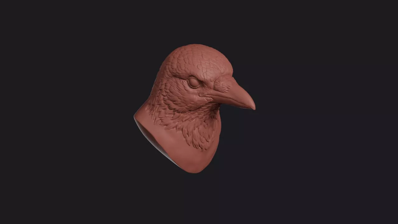 Magpie Head Bust Wall Mount 3D print model