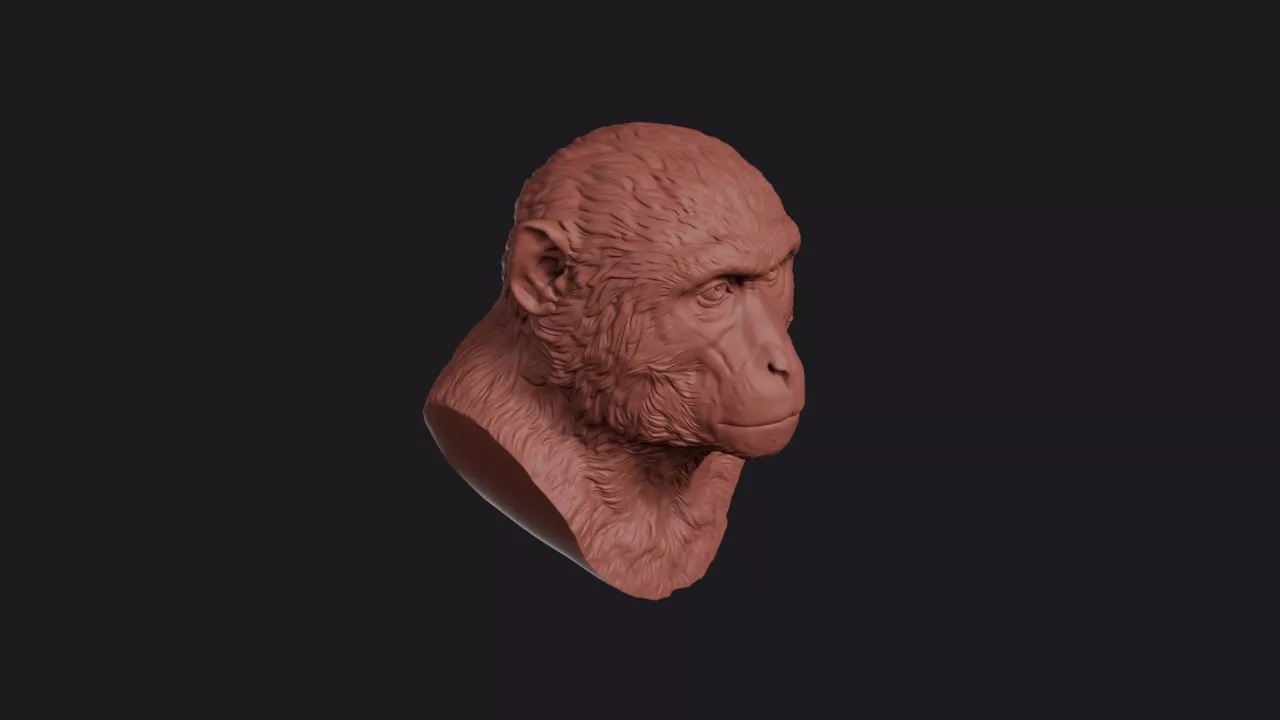 Macaque Monkey Head Bust Wall Mount 3D print model