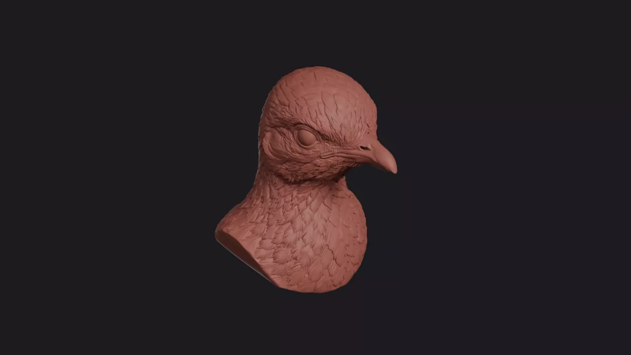 Lyrebird Head Bust Wall Mount 3D print model