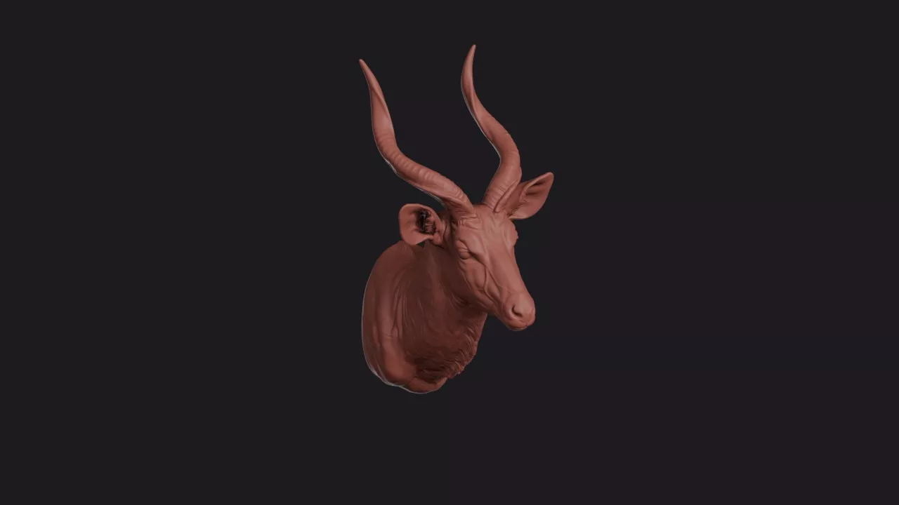 Lesser Kudu Head Bust Wall Mount 3D print model