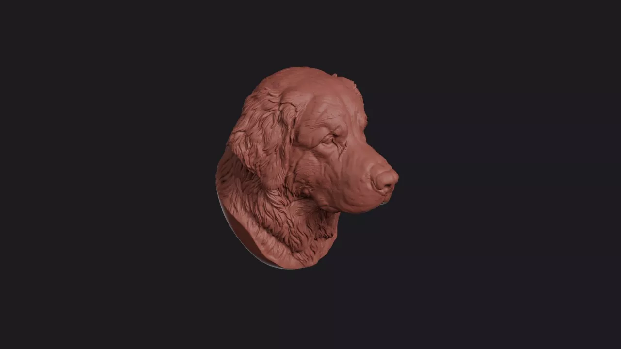 Leonberger Head Bust Wall Mount 3D print model